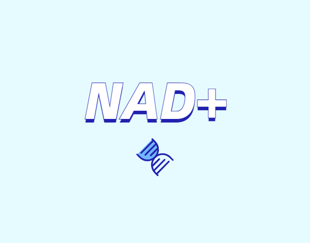 NAD與NMN的全新概念？