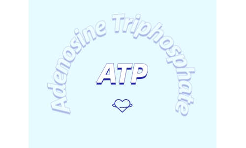 ATP有什么用？