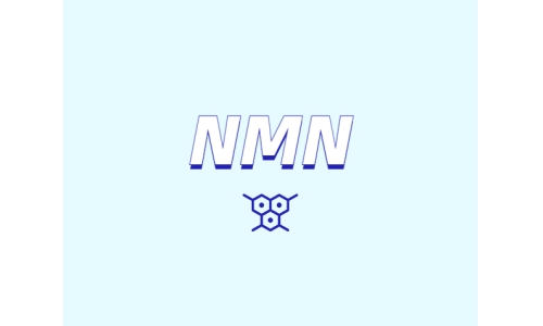 哪里可以買到 nmn？