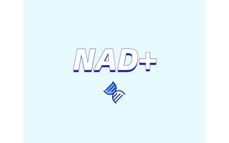 NAD與NMN的全新概念？